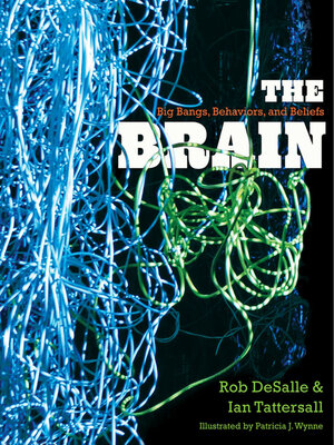 cover image of The Brain